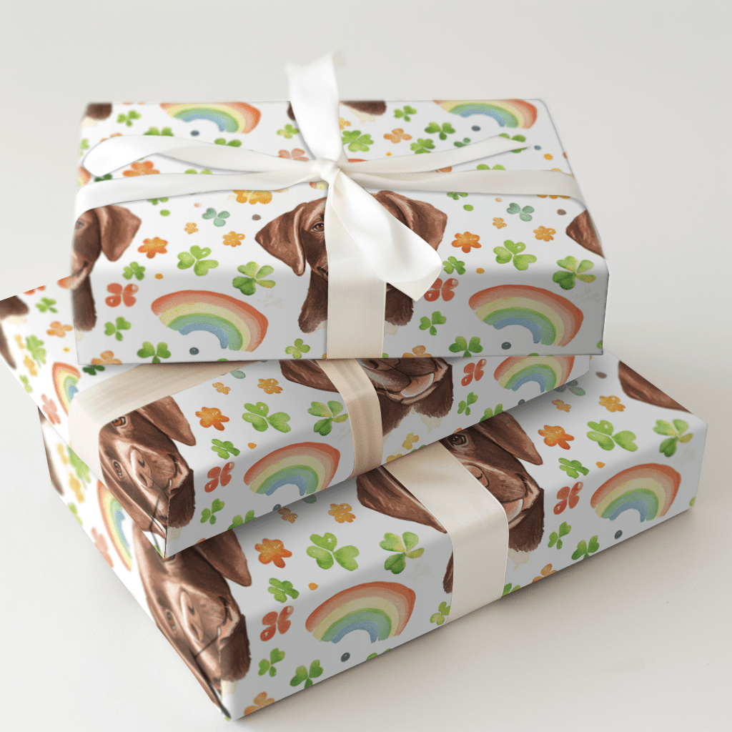 Rainbows with the Brown Lab - Wrapping Paper - Aspen & Arlo
