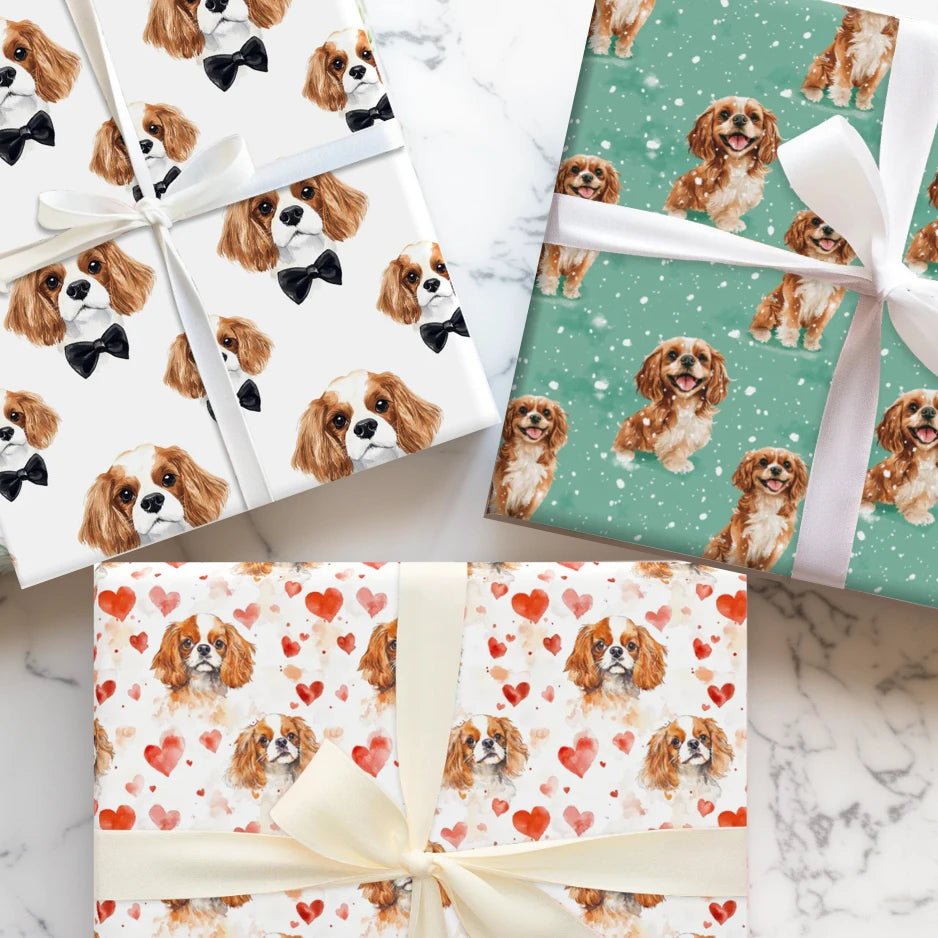 Cavalier King Charles - Aspen & Arlo