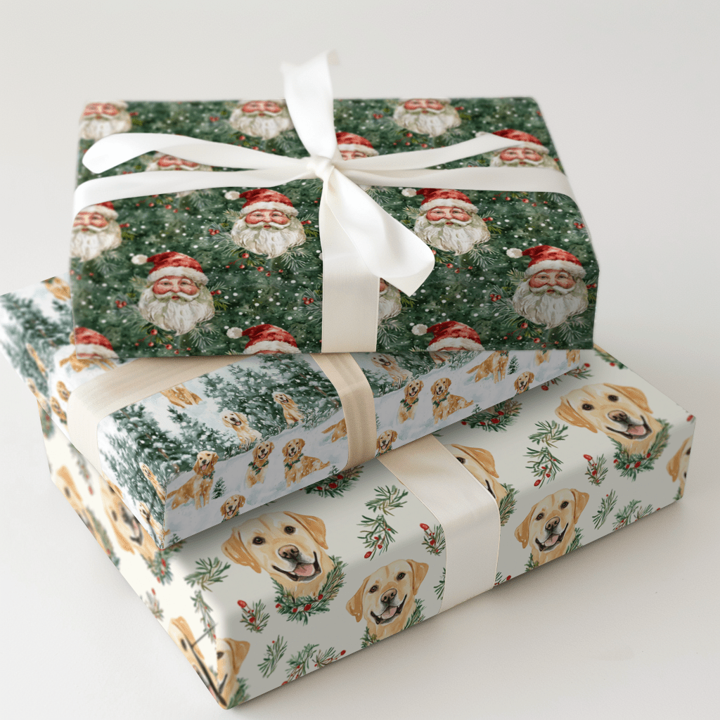 Assorted - Aspen & Arlo