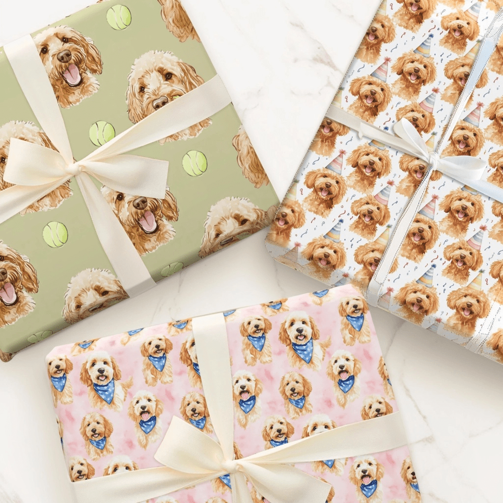 Goldendoodle - Aspen & Arlo