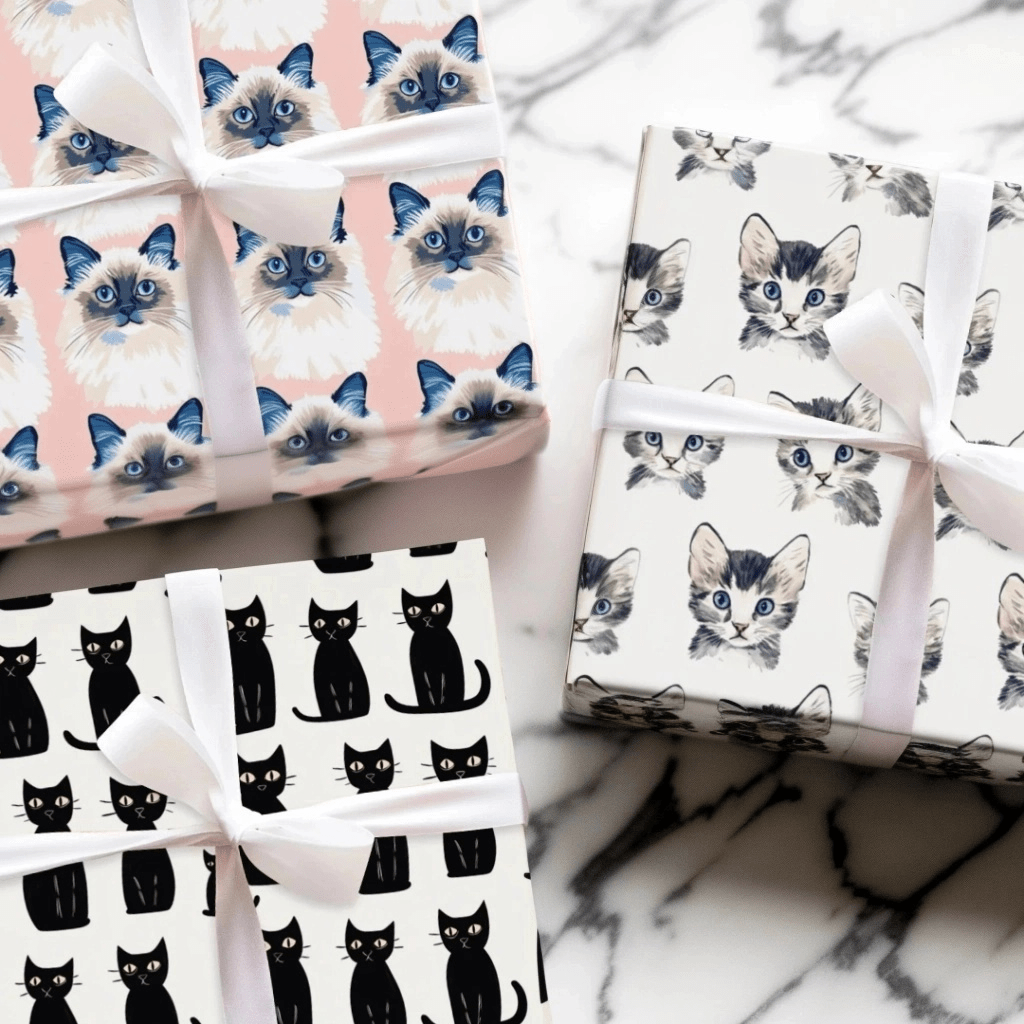 Everyday Cat - Aspen & Arlo