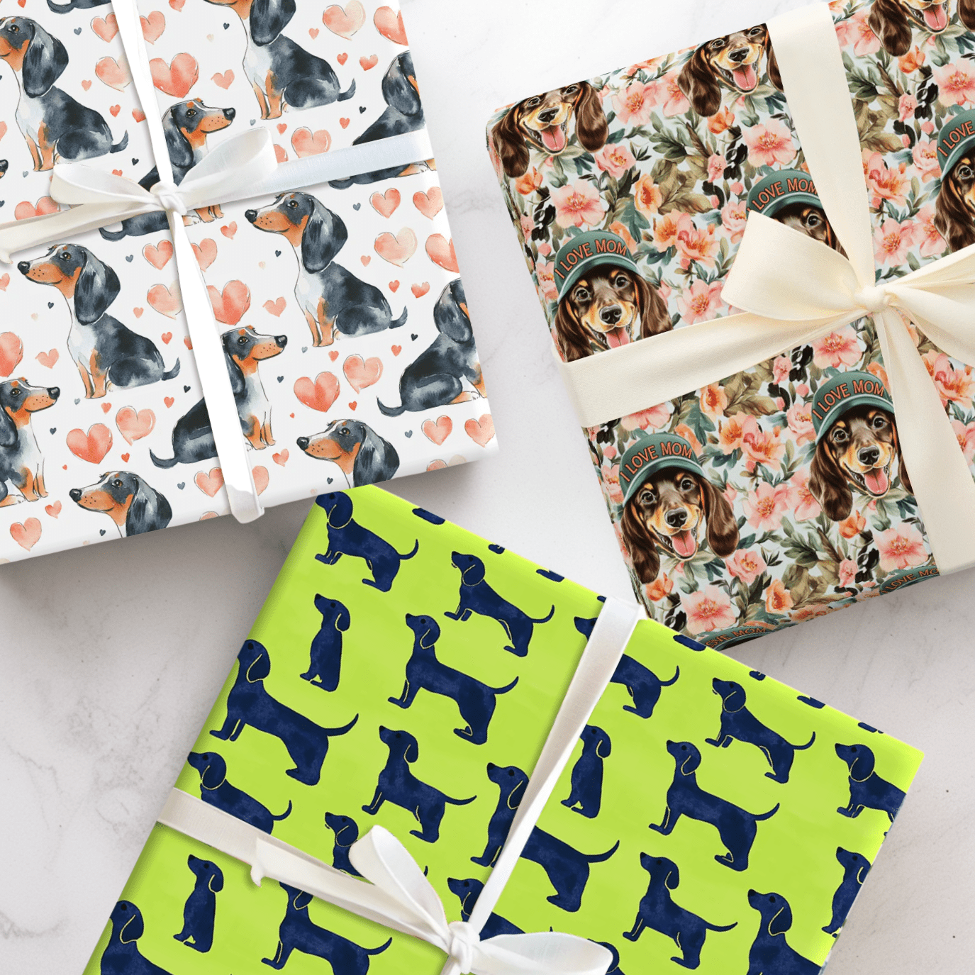 Dachshund - Aspen & Arlo