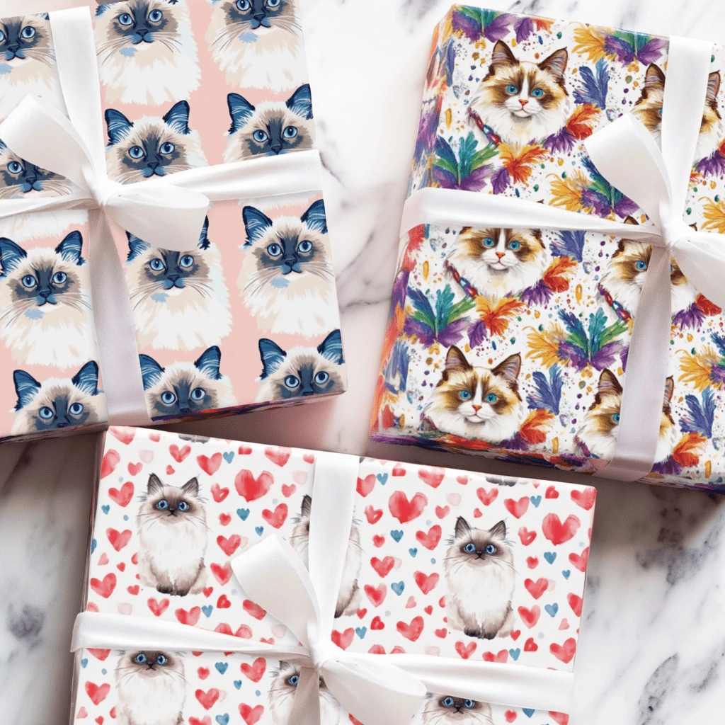 Ragdoll - Aspen & Arlo