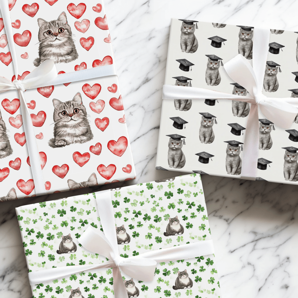 British Shorthair - Aspen & Arlo