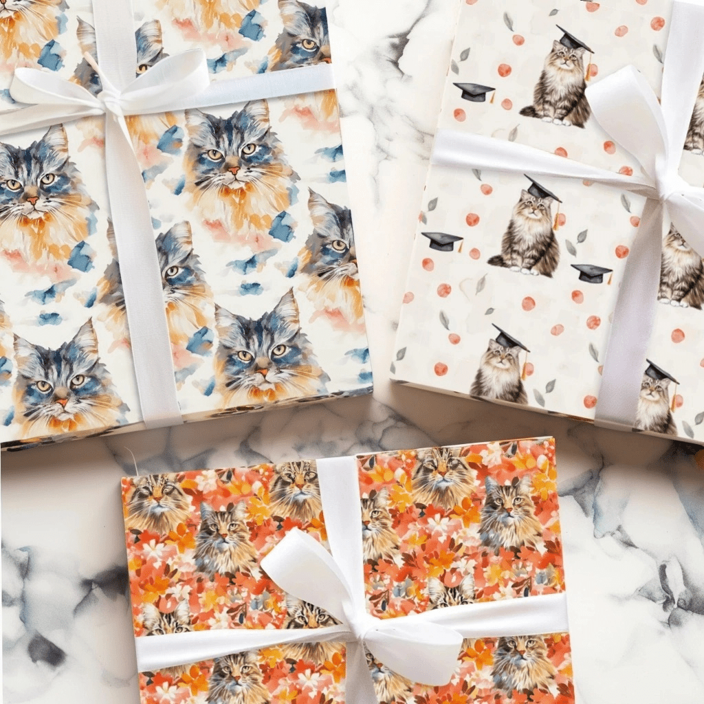 Maine Coon - Aspen & Arlo