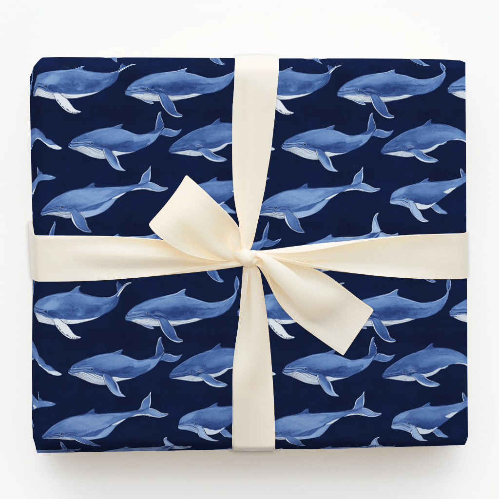 Whale, That's Sweet! - Wrapping Paper - Aspen & Arlo