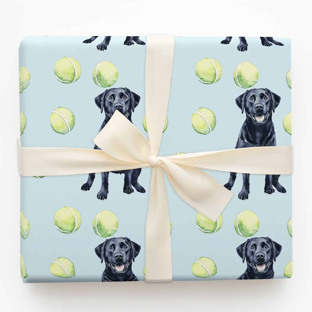 Buckeye Boy - Wrapping Paper - Aspen & Arlo