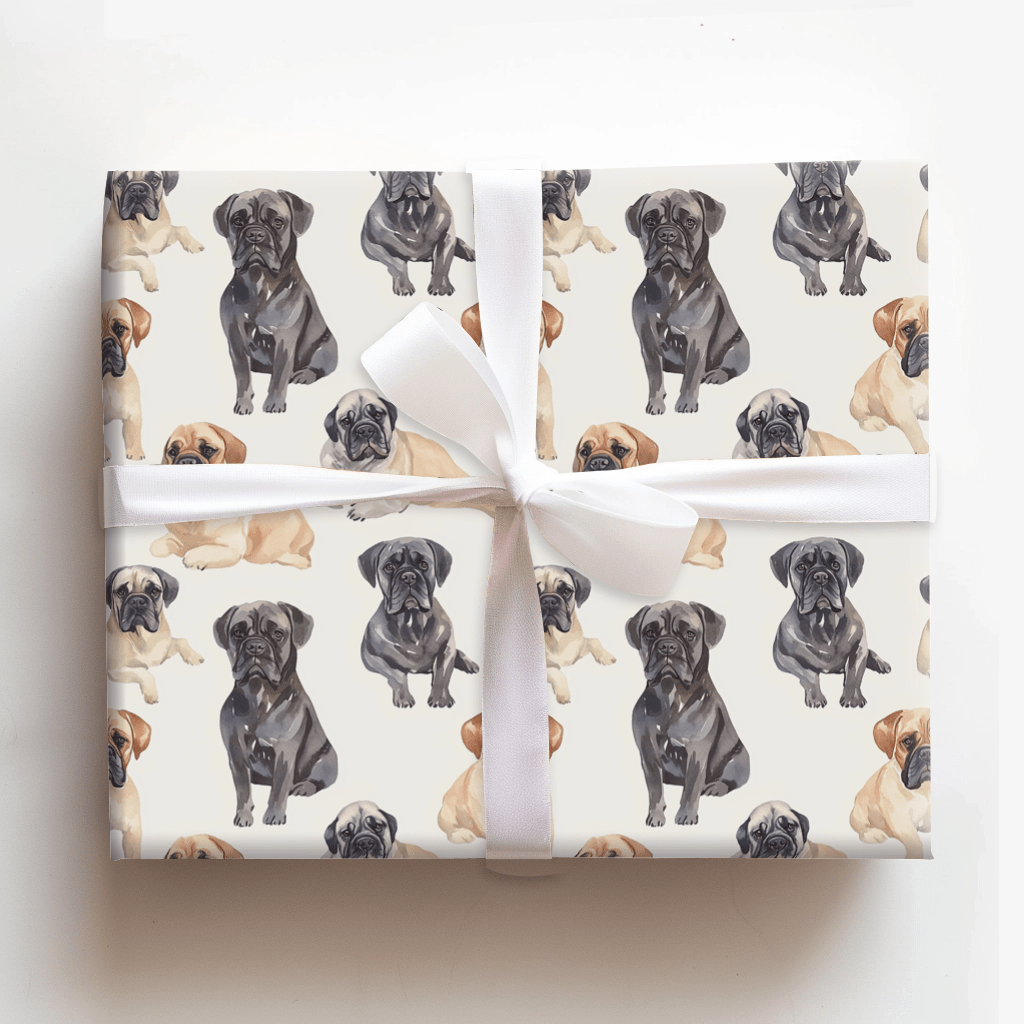 Order the Italian Mastiff - Wrapping Paper - Aspen & Arlo