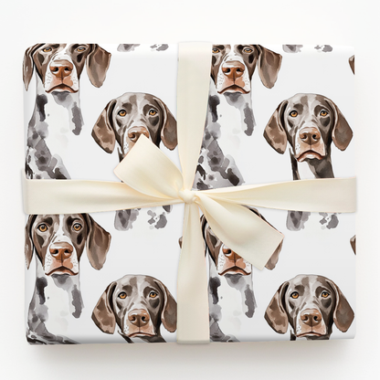 German Shorthaired Pointer