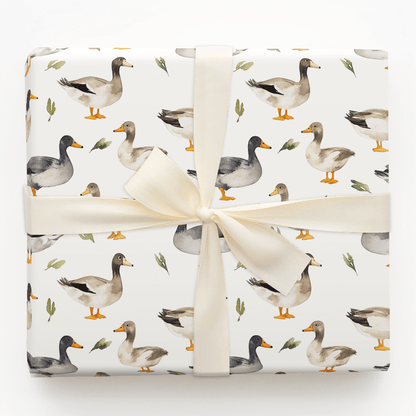Quacked the Code - Wrapping Paper - Aspen & Arlo