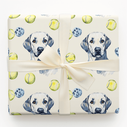 Lab of the Game - Wrapping Paper - Aspen & Arlo