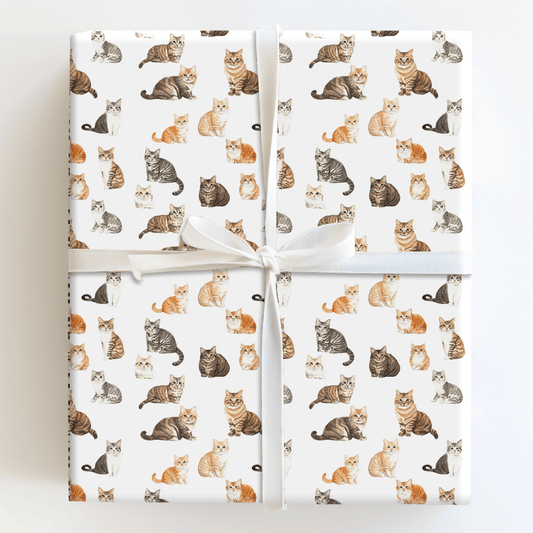 Whiskers - Wrapping Paper - Aspen & Arlo