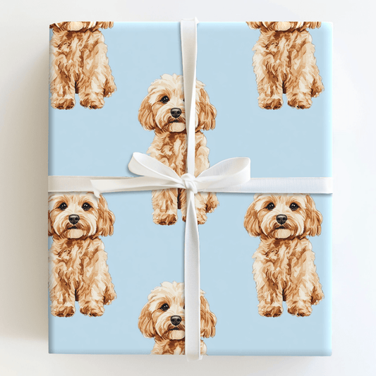 Cava Nother - Wrapping Paper - Aspen & Arlo