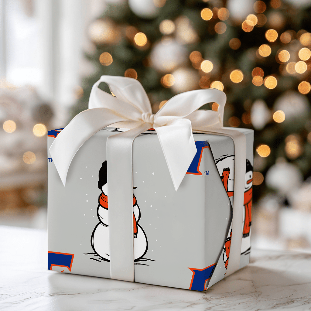 Florida Snowman - Wrapping Paper - Aspen & Arlo