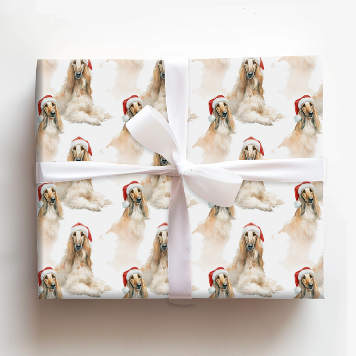 Afghan Hound Claus