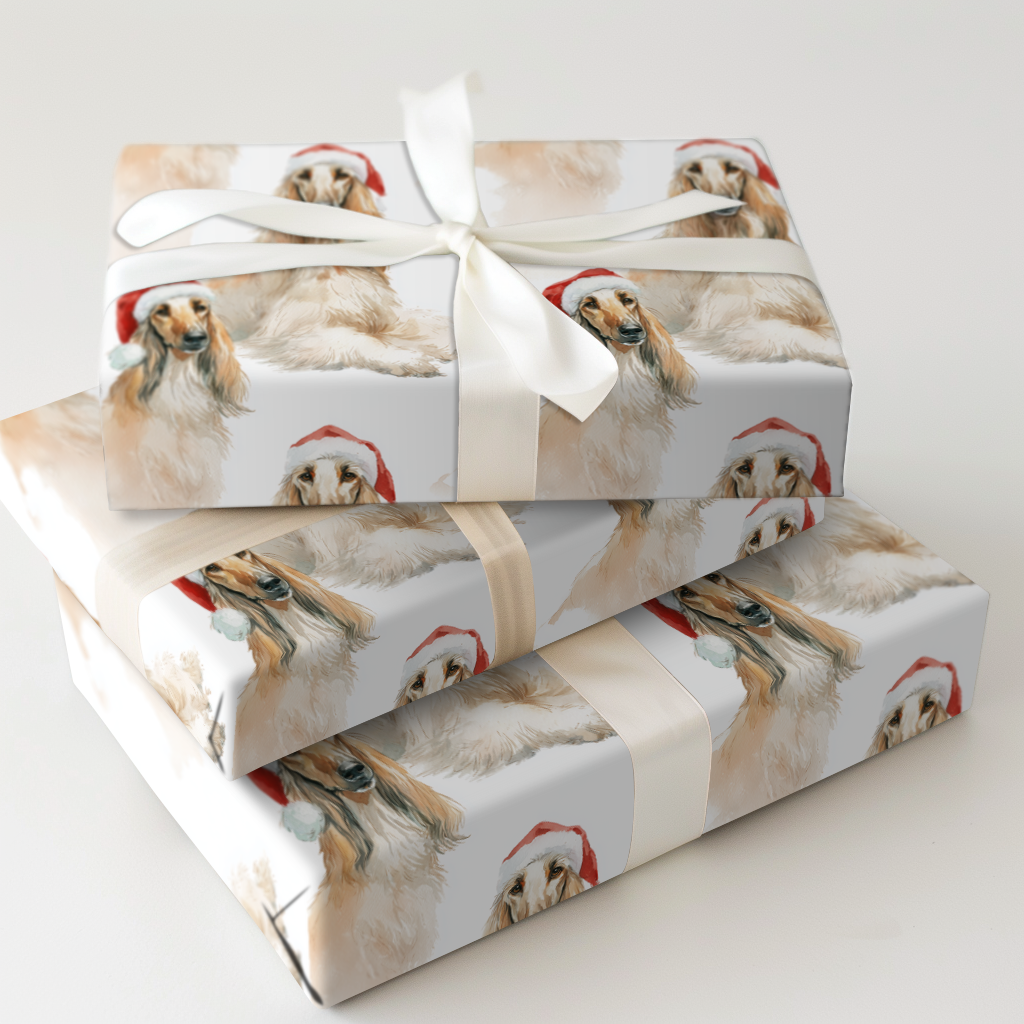 Afghan Hound Claus