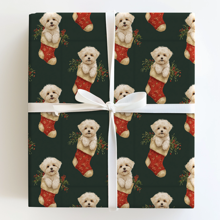 Stocking Stuffed with Maltese