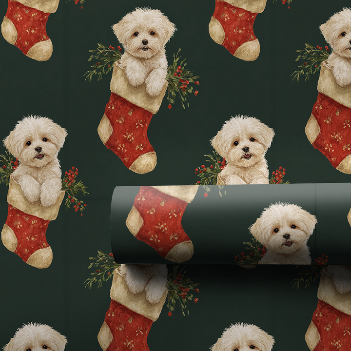 Stocking Stuffed with Maltese