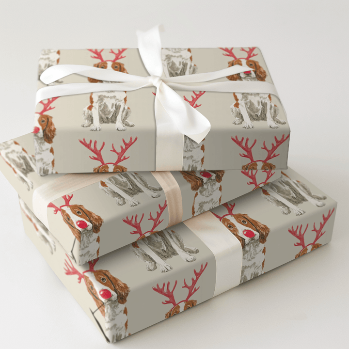Rudolph the Brittany Spaniel - Wrapping Paper - Aspen & Arlo