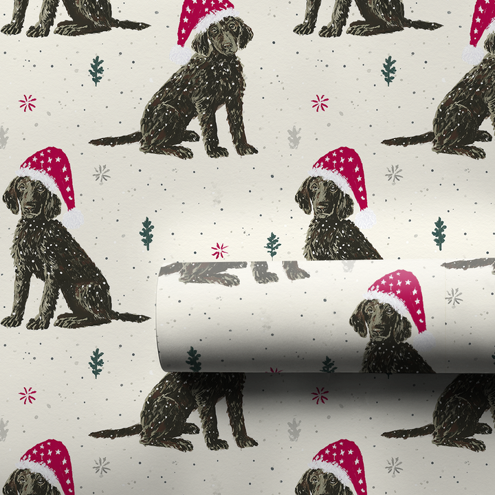 Snowy Plott Pups