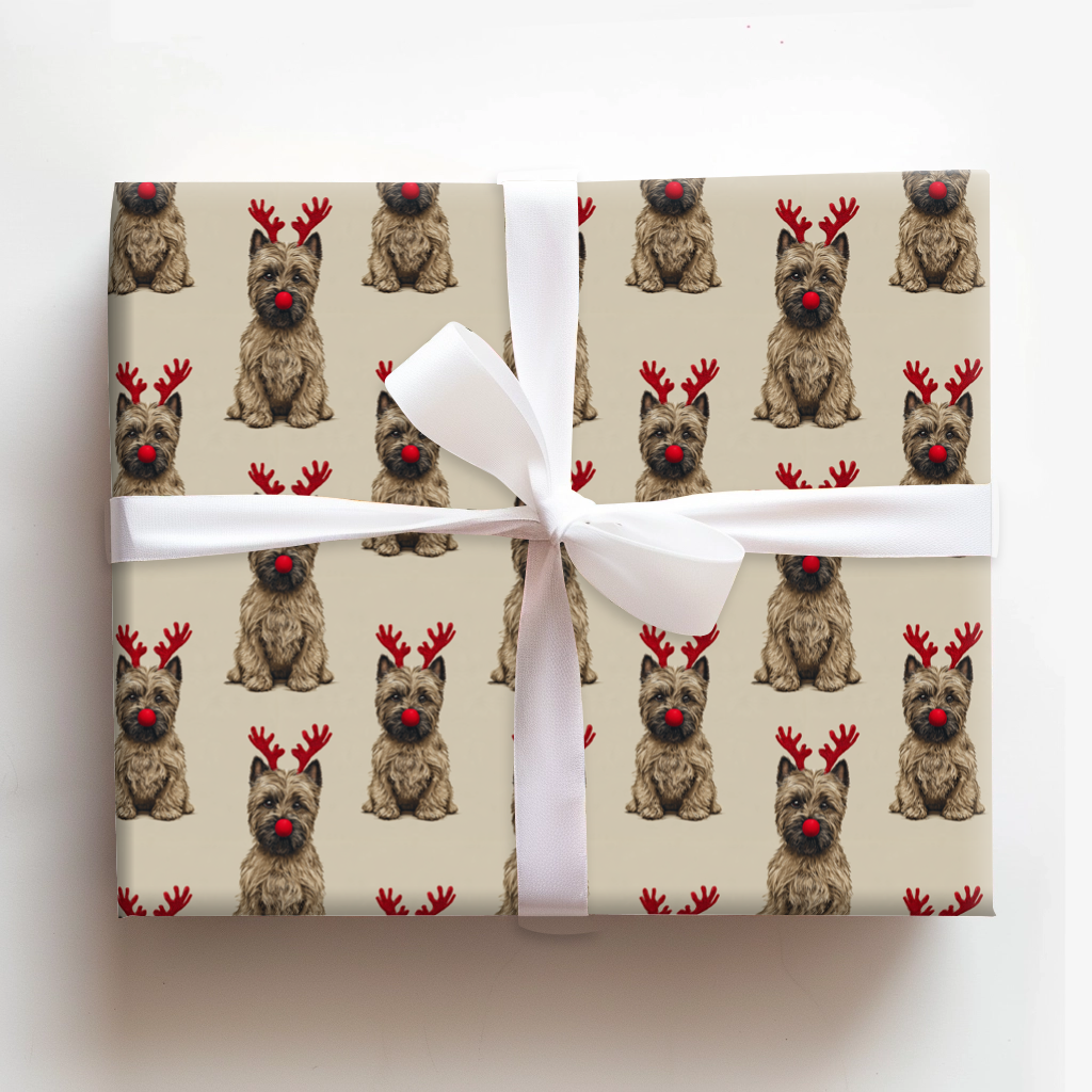 Rudolph the Cairn Terrier