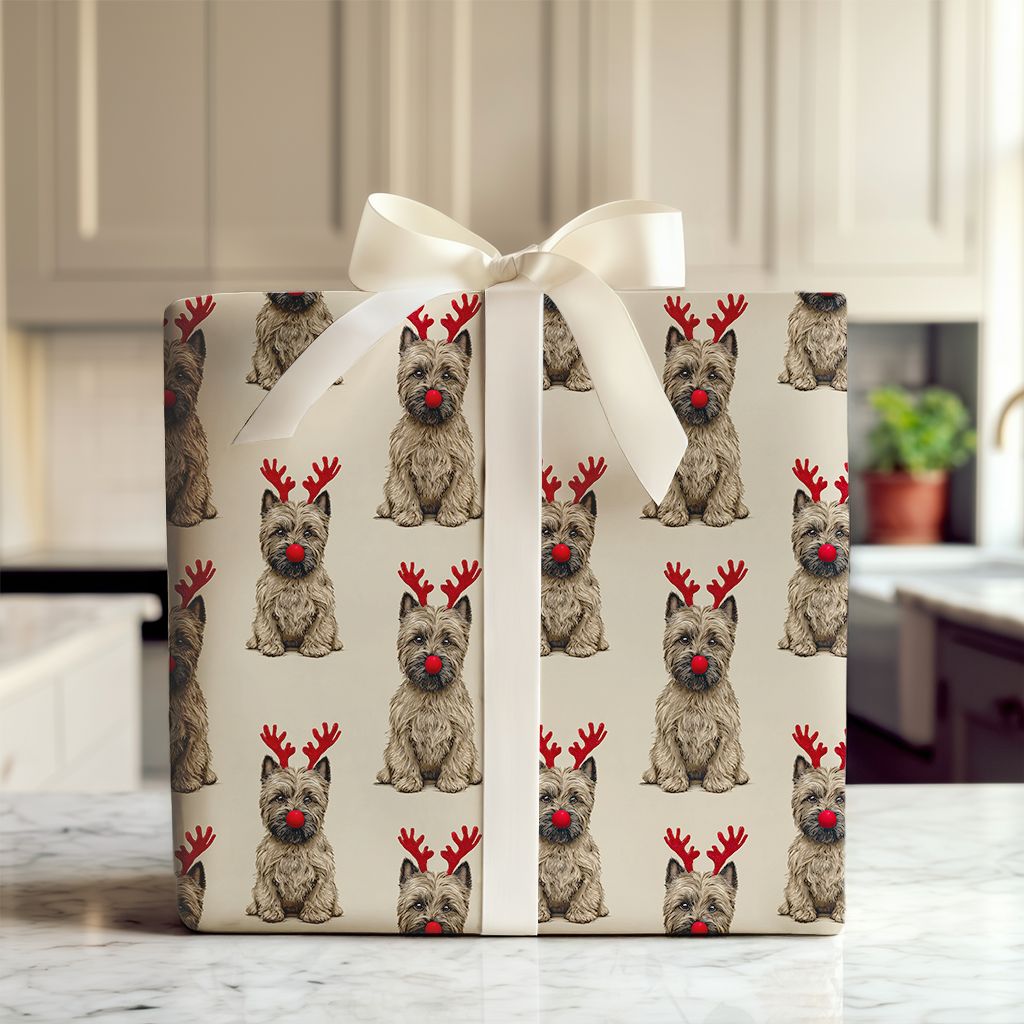 Rudolph the Cairn Terrier