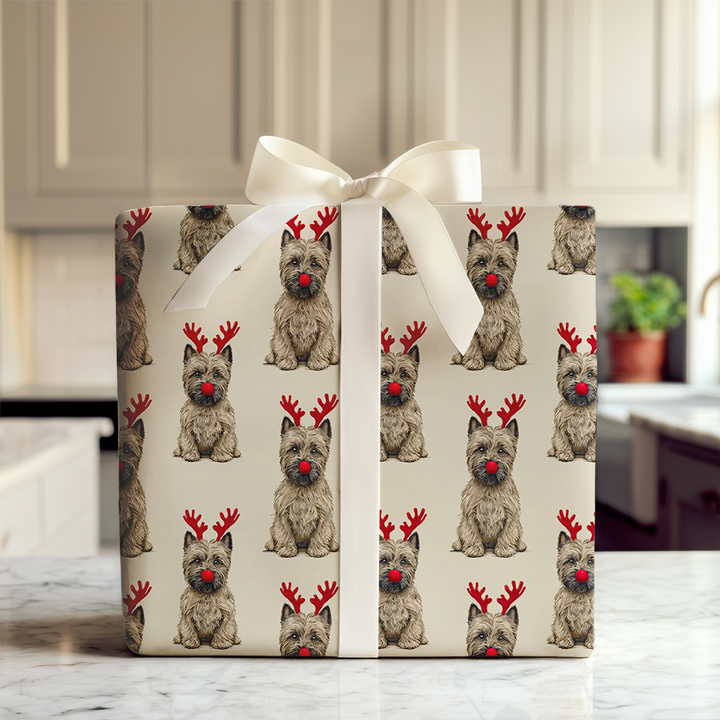 Rudolph the Cairn Terrier