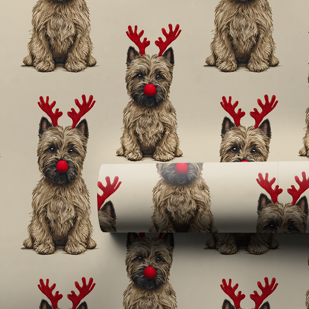 Rudolph the Cairn Terrier