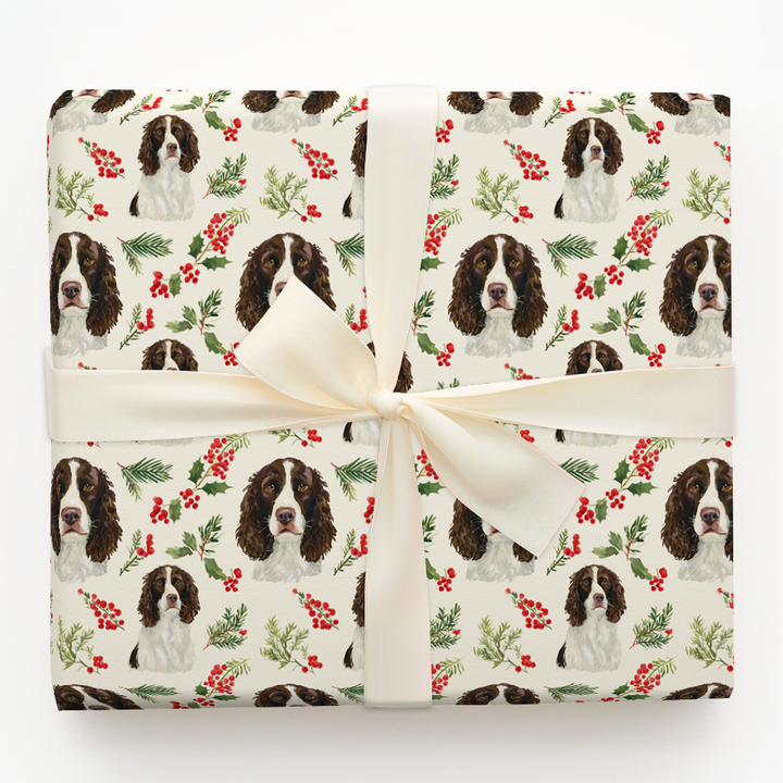 Holly Jolly Brown Springer Spaniel