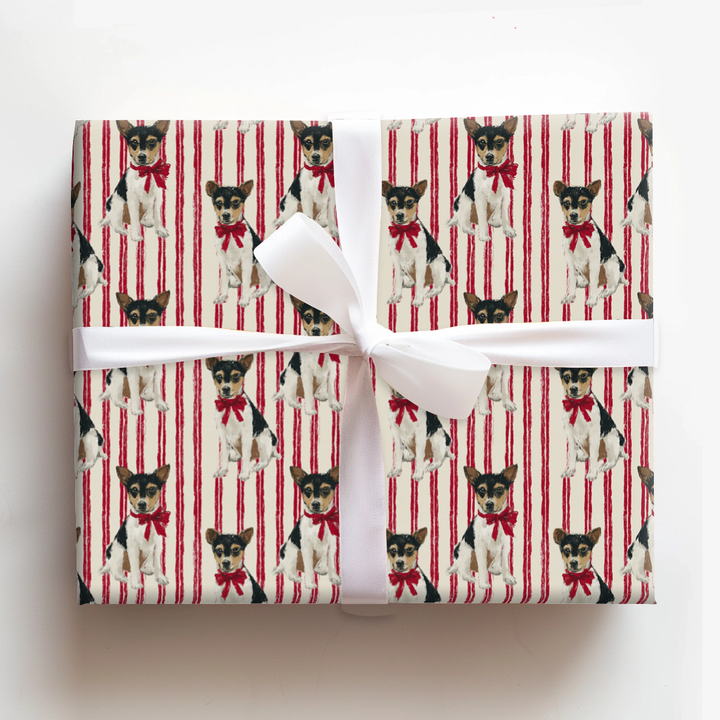 Rat Terrier Ribbon