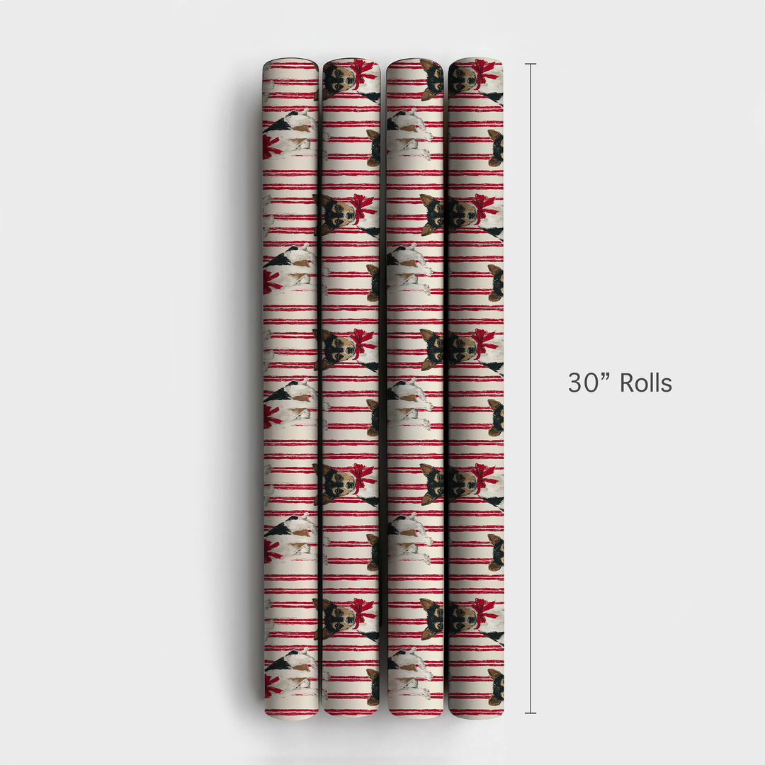 Rat Terrier Ribbon