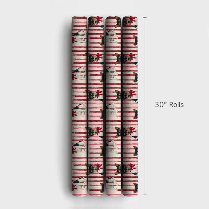 Rat Terrier Ribbon