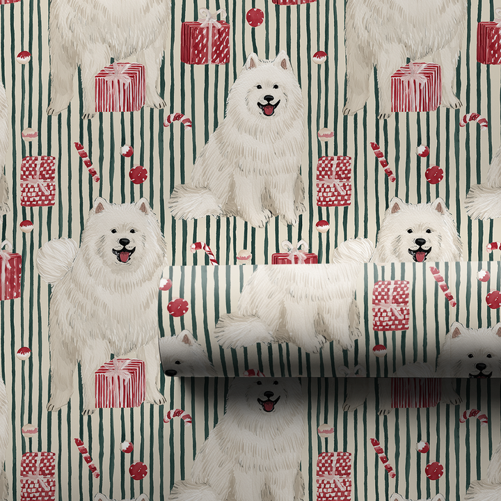Samoyed and Stripes