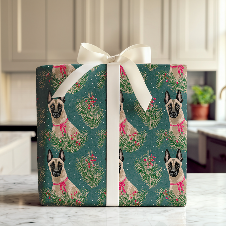 Malinois & Mistletoe