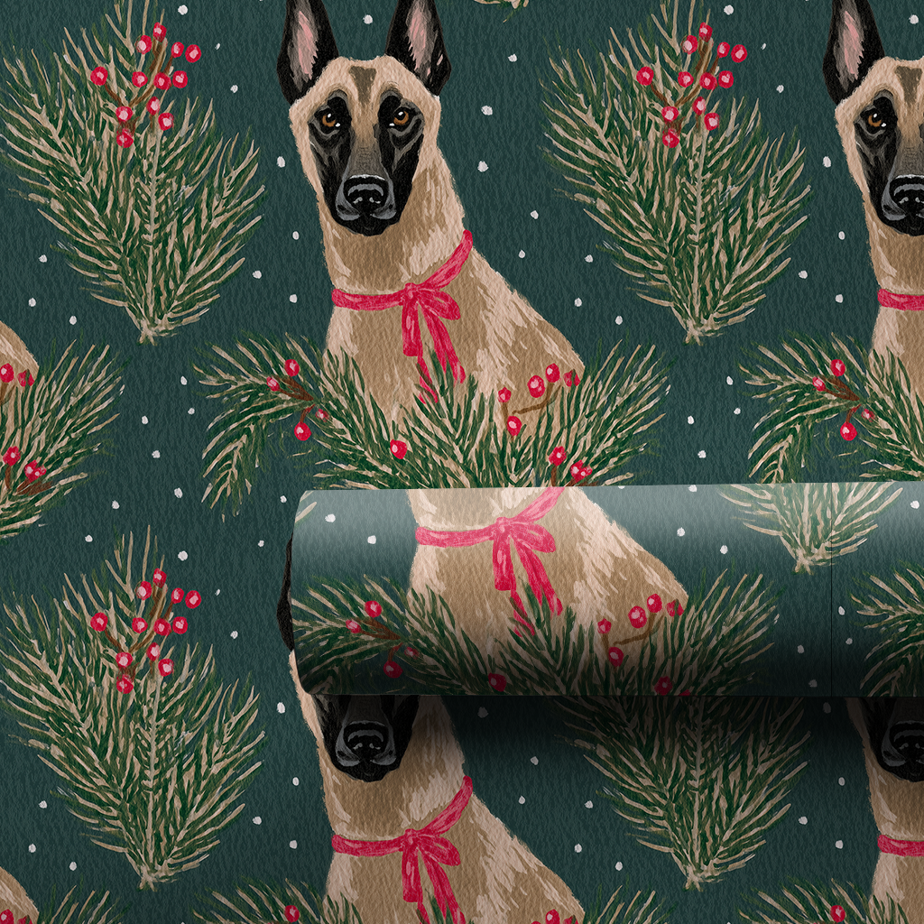 Malinois & Mistletoe