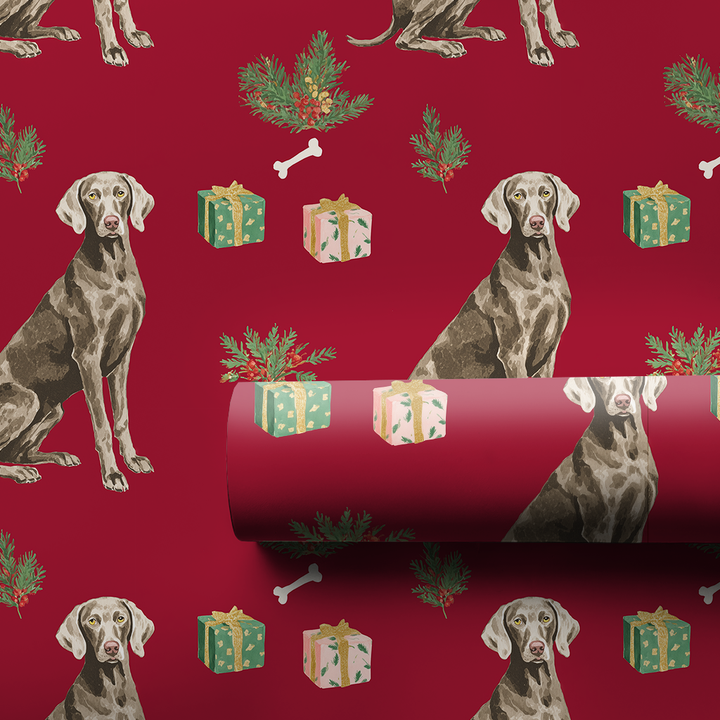 Weimaraner at Christmastime