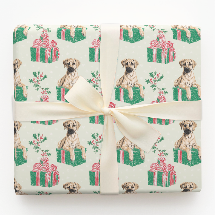 Black Mouth Cur Christmas Surprise