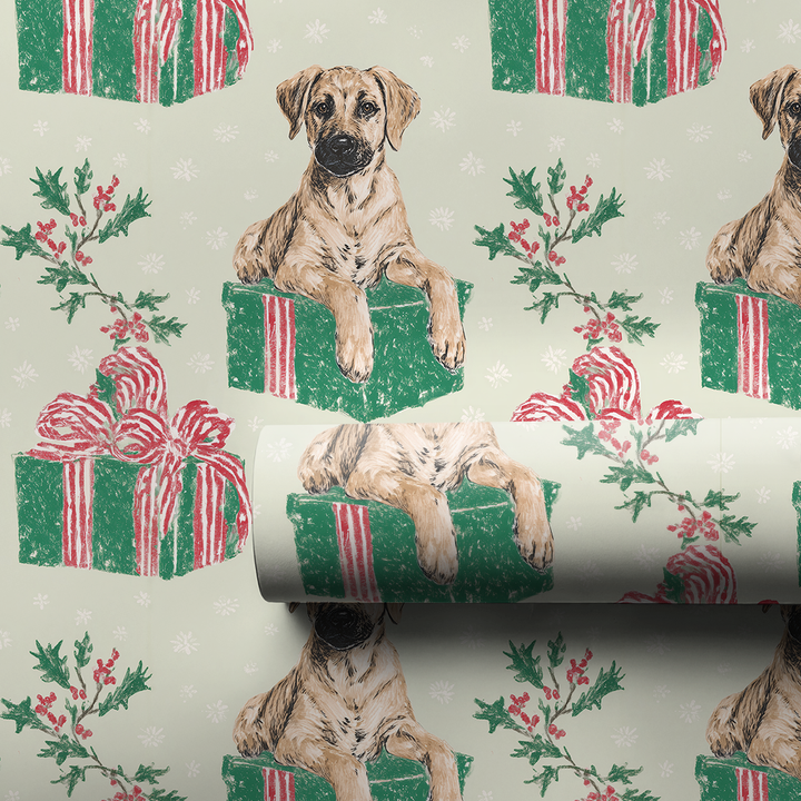 Black Mouth Cur Christmas Surprise