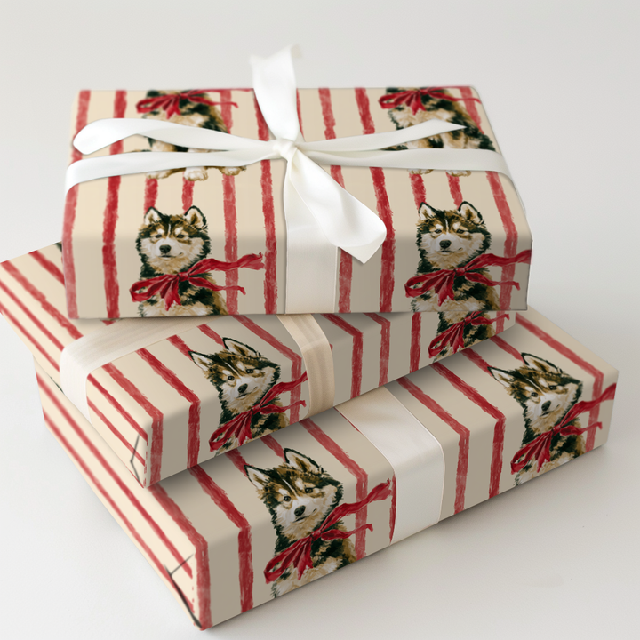 Husky Christmas Stripes