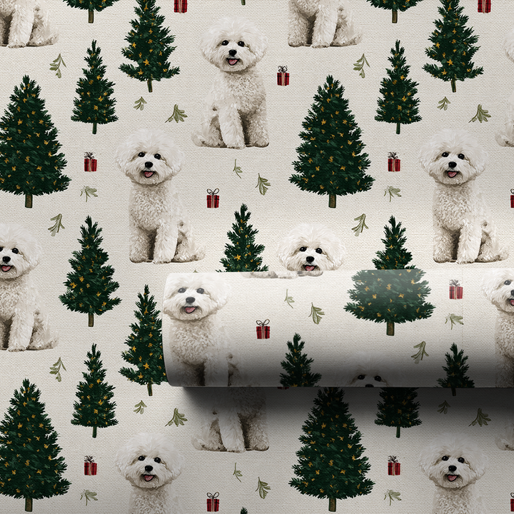 Holidays for Bichon