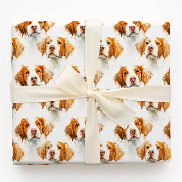 Watercolor Brittany Spaniel