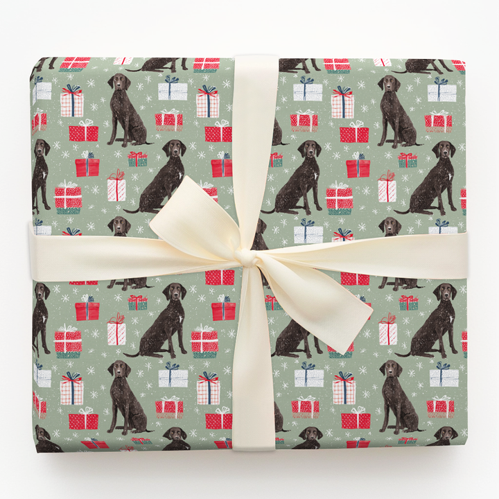 Present Plott Hounds