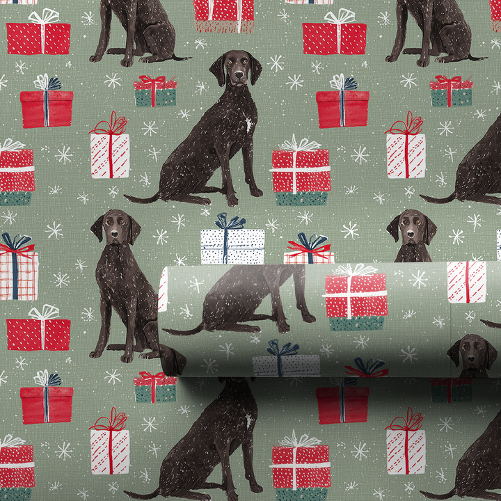 Present Plott Hounds