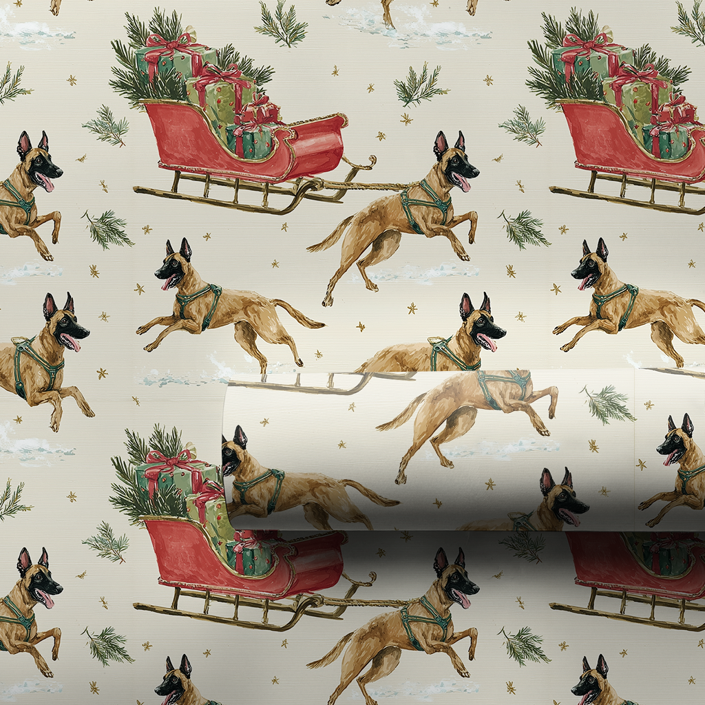 Malinois Express