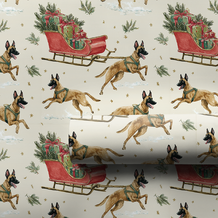 Malinois Express