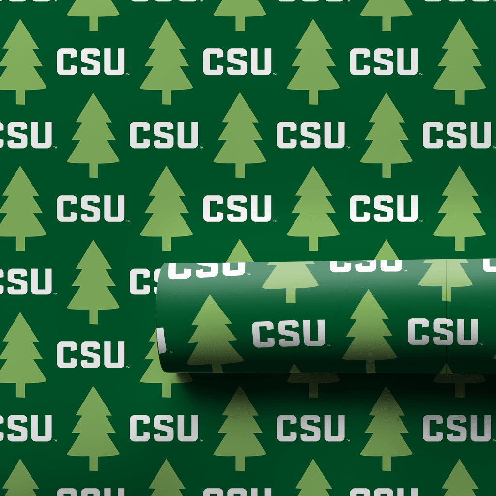 Rocky Mountain Fir - Wrapping Paper - Aspen & Arlo