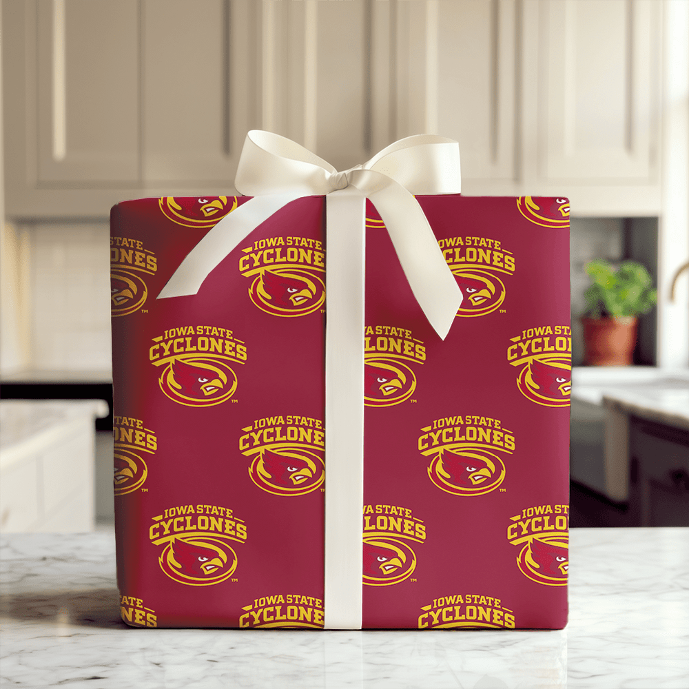 Storm Bird - Wrapping Paper - Aspen & Arlo