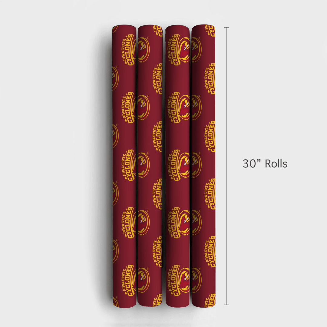 Storm Bird - Wrapping Paper - Aspen & Arlo