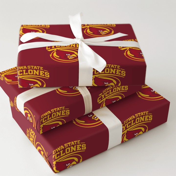 Storm Bird - Wrapping Paper - Aspen & Arlo
