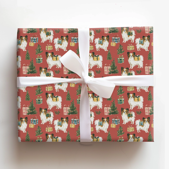 Papillon Special Delivery